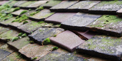 Boarstall roof repair costs